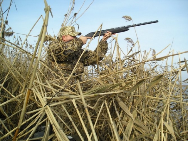 Весенняя охота на пернатых в Александровском районе будет разрешена с 6-го по 15 мая