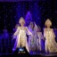 Большой январский концерт собрал александровских любителей танцев и песен