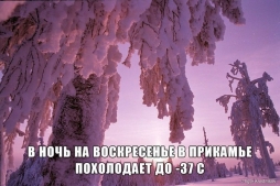 МЧС предупреждает: В ночь на воскресенье в Прикамье похолодает до -37