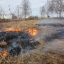 На земельных участках могут запретить выжигать сухую траву