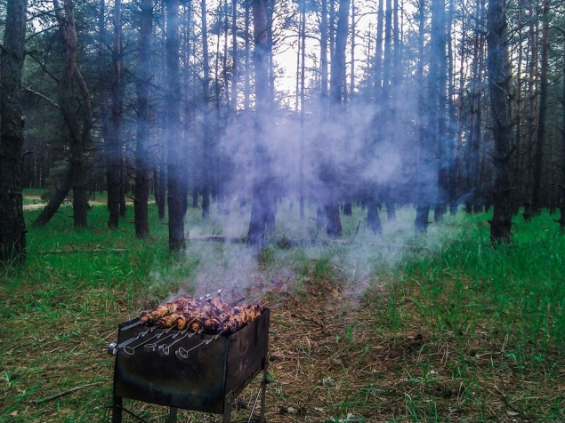 Лицензия на шашлыки в лесу будет стоить 500 рублей
