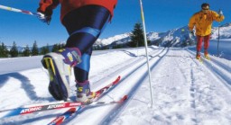 Лыжные гонки памяти А. Неволина