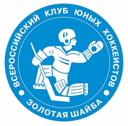 Финал Первенства Пермского края по хоккею на приз "Золотая шайба"