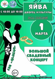 Большой свадебный концерт в ДК "Энергетик"