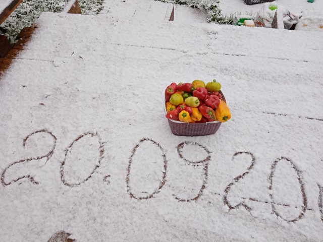20 сентября в Александровске выпал первый снег