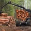 Житель Александровска незаконно вырубил деревья на миллион рублей