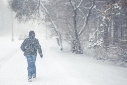 МЧС Пермского края предупреждает о сильных порывах ветра и метели