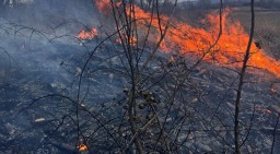 МЧС предупреждает о чрезвычайно высокой пожарной опасности в Прикамье