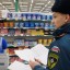 Путин поручил законодательно запретить проверки малого бизнеса до 31 декабря 2021 года