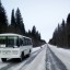 ​В Александровском районе участились случаи ДТП с участием автобусов