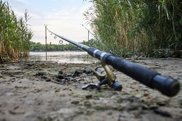 ​В Пермском крае с 15 апреля вступил запрет на любительское рыболовство