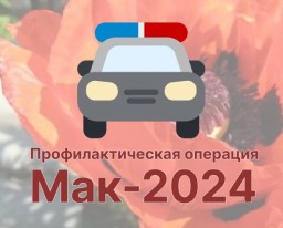 Оперативно-профилактическая операция «Мак-2024»