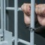 Житель Соликамска осужден на три года в колонии строгого режима за комментарий в сети