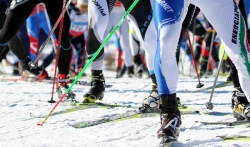 Лыжный марафон "Александровская лыжня"