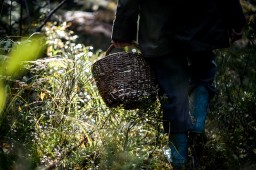 Волонтёры 3 дня искали пожилого человека в лесу вблизи Усть-Игума