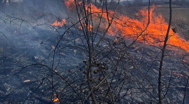 МЧС предупреждает о чрезвычайно высокой пожарной опасности в Прикамье