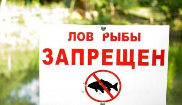 В Александровске проводятся рейды, направленные на выявление нарушений правил рыболовства