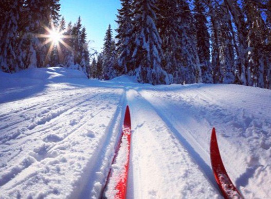 Открытые лыжные соревнования "Имени Подколзиной В.И."