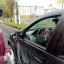 Юные инспекторы движения Александровского округа приняли участие в акции "Лайк водителю"