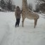 Жительница Всеволодо-Вильвы получила билеты в Пермский зоопарк за снежные фигуры