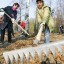 В Александровске объявлен месячник по комплексной уборке территорий