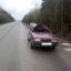 В понедельник утром на автодороге Александровск-Яйва произошло ДТП с лосем