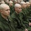 В Прикамье проведут «горячую линию» по правам призывников и военнослужащих