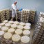 Власти запретят называть сделанный не по ГОСТу сыр «российским»