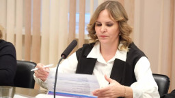 Отчет главы АМО за 2024 год