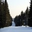 Лыжная трасса в Александровске будет освещаться ежедневно