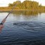 На время нереста в Пермском крае введён запрет на ловлю рыбы