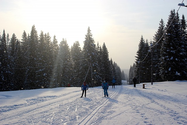 В выходные впервые прошёл лыжный марафон "Александровская лыжня"