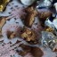 Две школьницы в Яйве отравились неизвестными конфетами