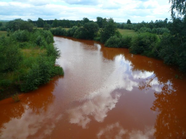 Минприроды РФ: в Прикамье остро стоит вопрос очистки шахтных вод в КУБе