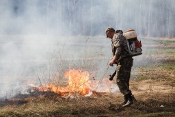 С 5 июля в Пермском крае введён особый режим