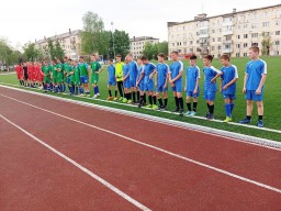 Турнир по мини-футболу провели в Александровске