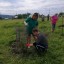 ​В минувшие выходные в посёлке Лытвенский состоялась акция «Посади дерево»