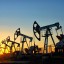 На территории Александровского округа планируют добывать нефть