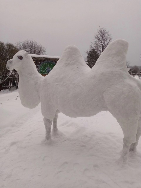 Снежный верблюд во Всеволодо-Вильве