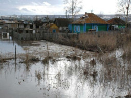 В Александровске затоплено 13 приусадебных участков и один в Всеволодо-Вильве