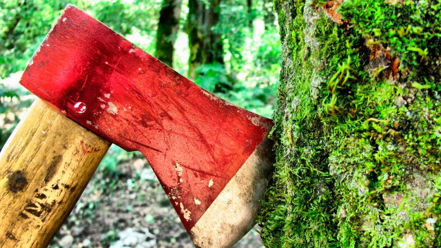 Предприниматель незаконно вырубил лес в Александровском районе на миллионы